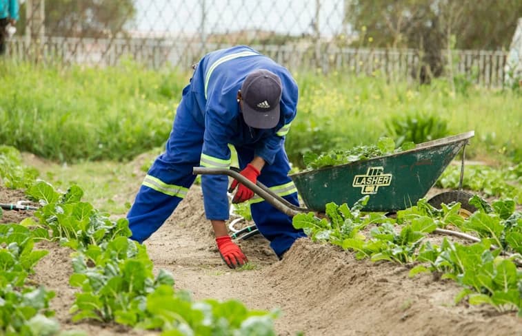 Environment & Sustainability