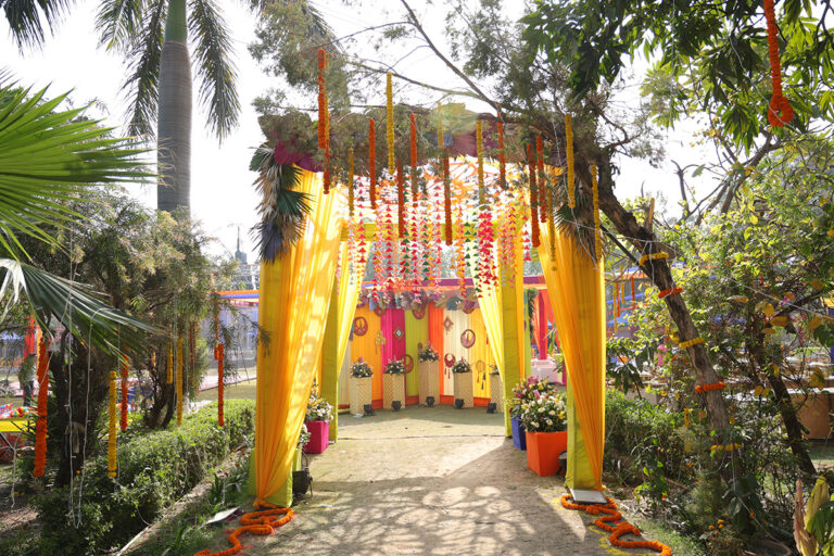 holi-3